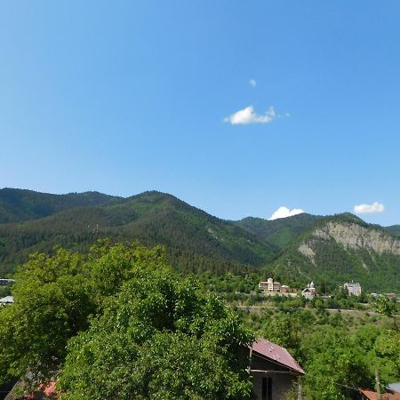 Akaki'S Guesthouse Borjomi Exteriör bild